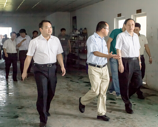 安徽省委副書記、省長(zhǎng)王學(xué)軍蒞臨安徽柯力視察